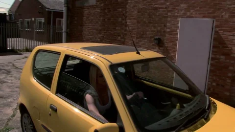 video art holland: Sienna's Lucky Car Ride