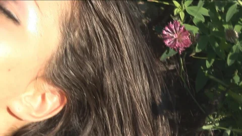 Grass